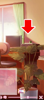 主人公の部屋モンステラ