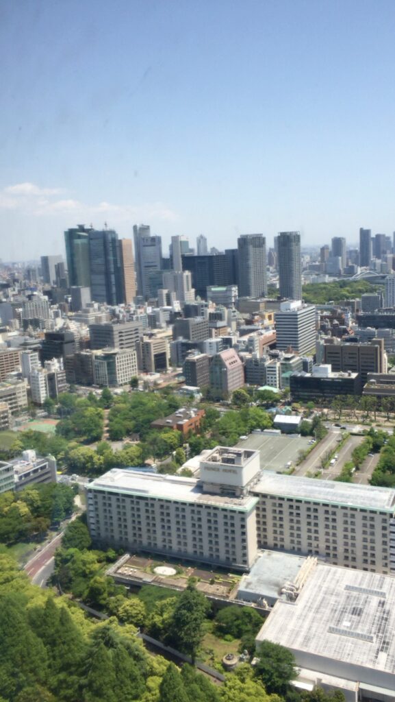 東京の街俯瞰_08