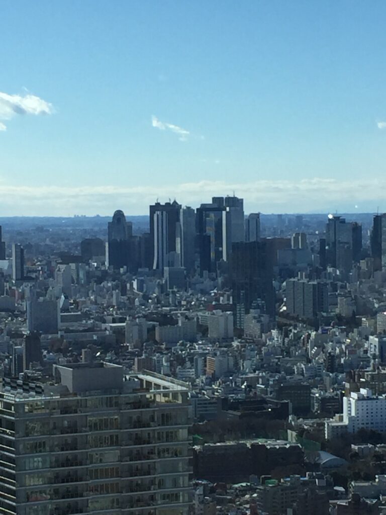 東京の街俯瞰_サンシャイン60_04