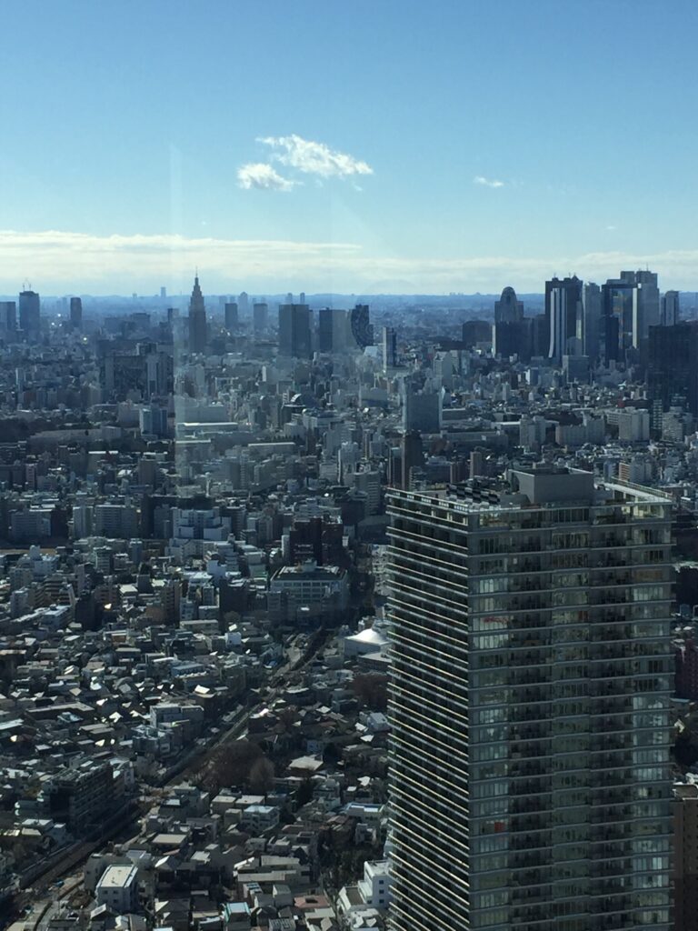 東京の街俯瞰_サンシャイン60_06