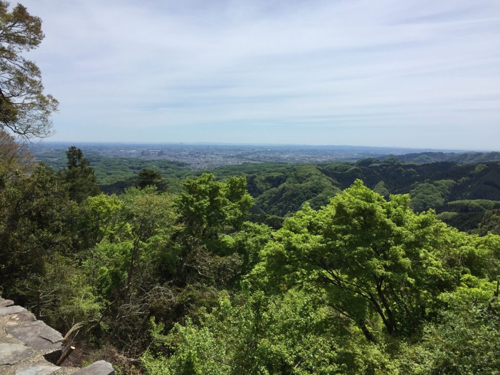 高尾山からの東京の街遠景01