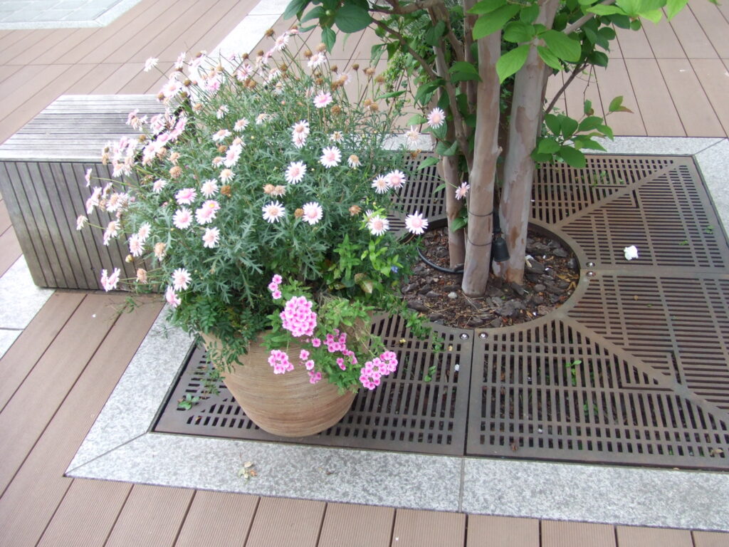 花と植樹桝と立方体ベンチ