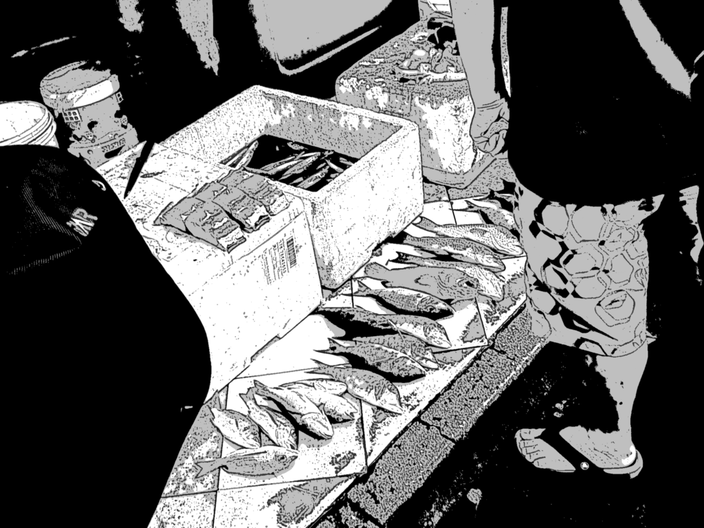 モルディブ_126_マーレ市場の魚_漫画風加工