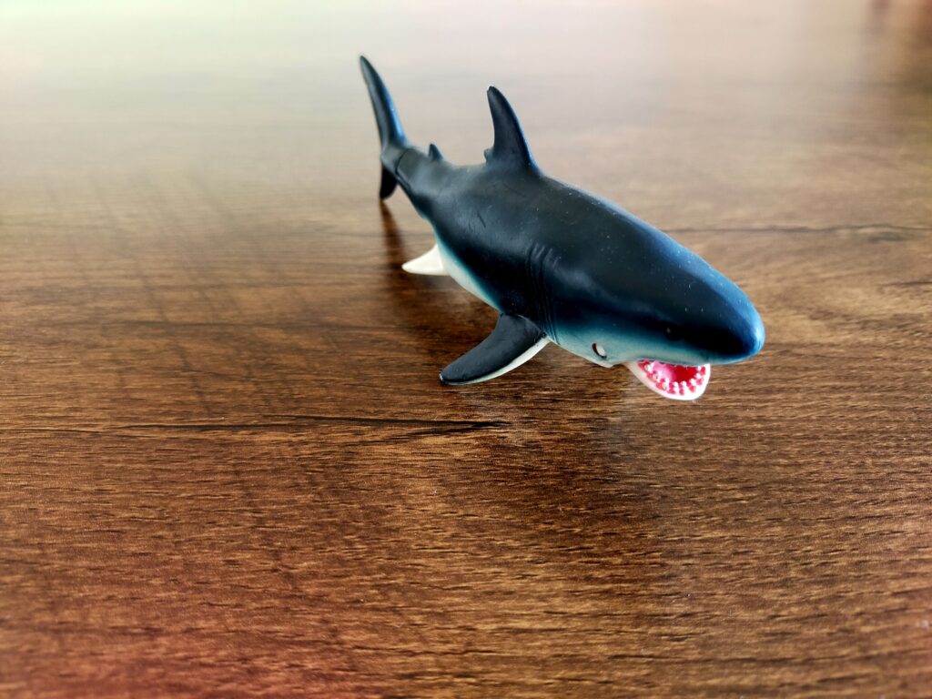 サメのおもちゃ_02