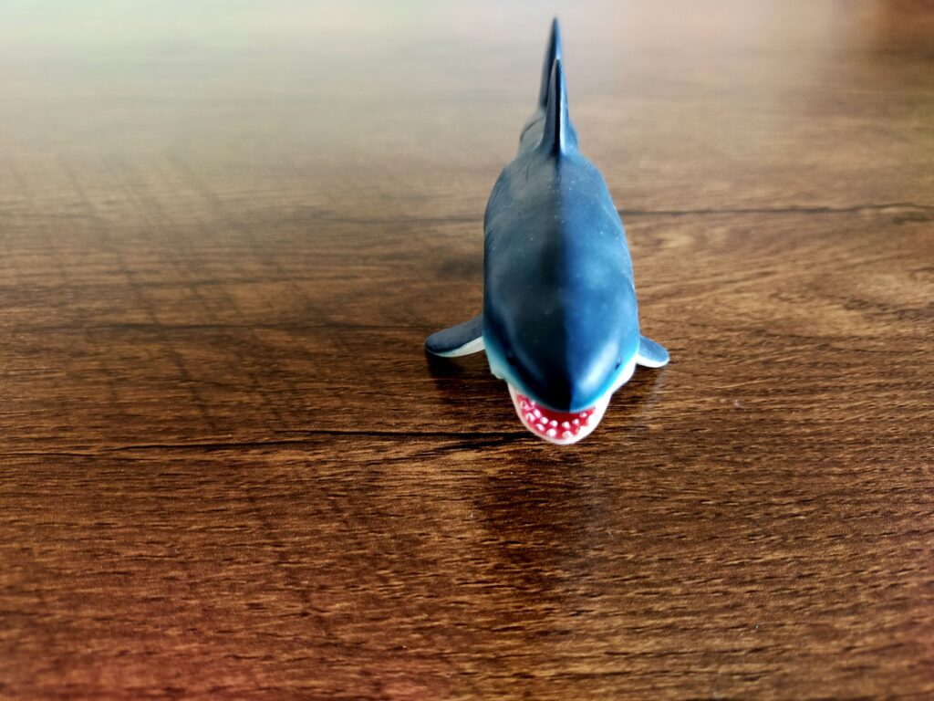 サメのおもちゃ_03