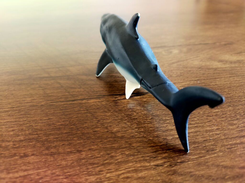 サメのおもちゃ_04