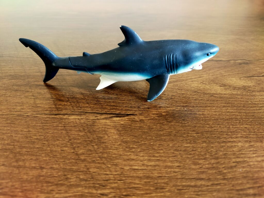サメのおもちゃ_01