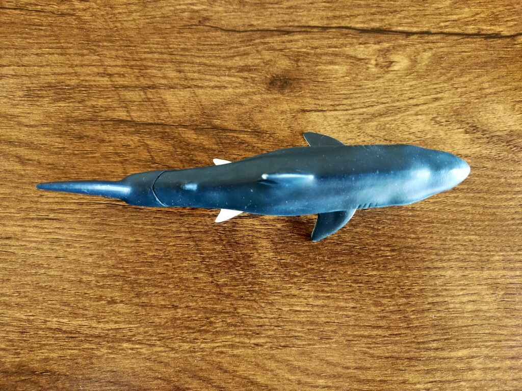 サメのおもちゃ_06
